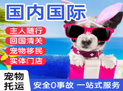南充高坪航空货运国际宠物托运 【国